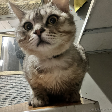 ank睡不醒于2023-04-27 23:57发布的图片