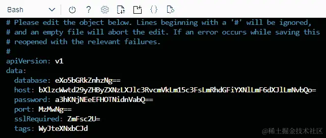 打开 vi 编辑器后，导航到主机行。删除主机的当前值，并粘贴 base64 编码的值。这将更改密钥。