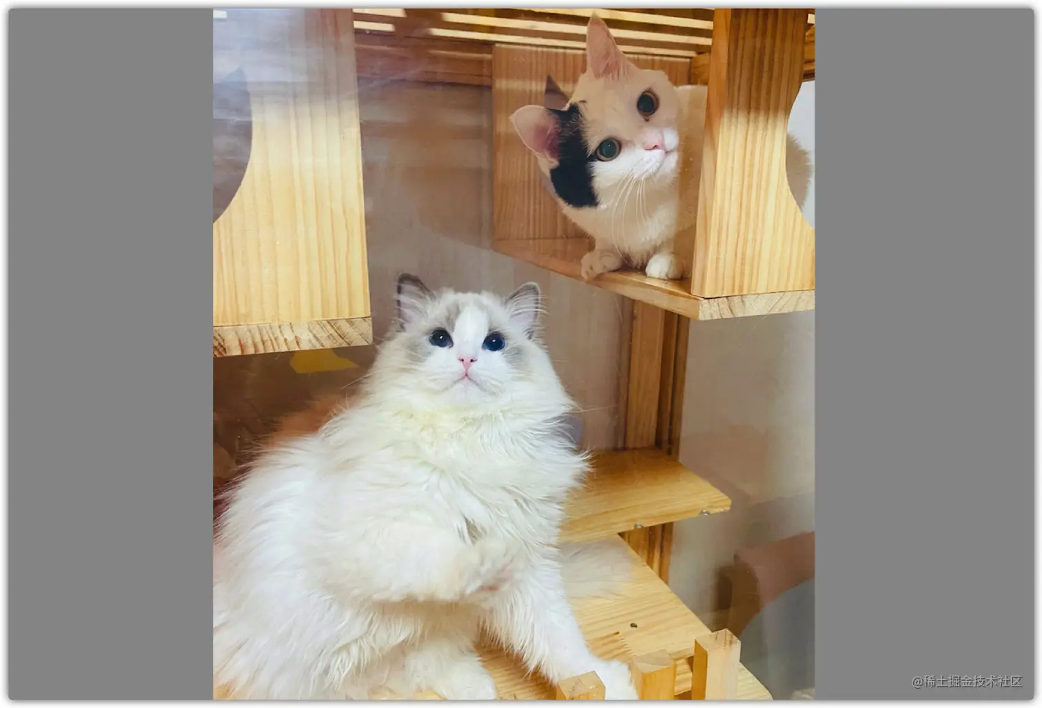 image-20210815172232690