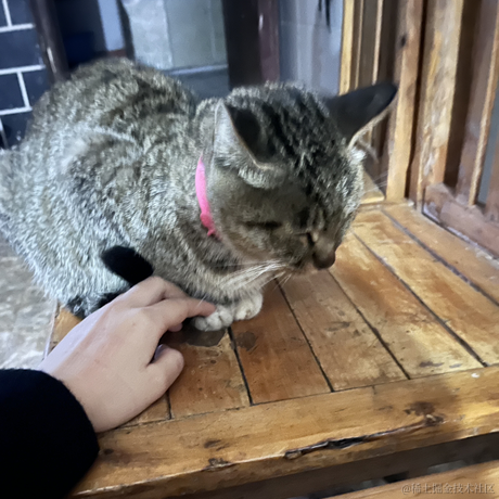 mql的爹于2022-11-20 22:12发布的图片