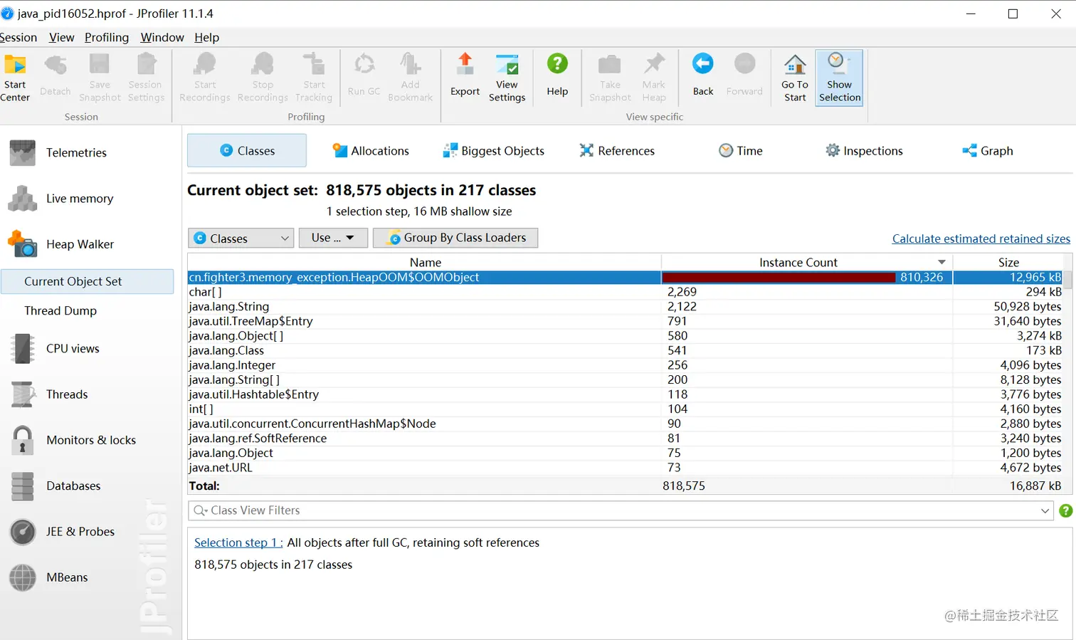 Jprofiler 打开的堆转储快照文件
