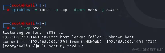 image-20240705131315250