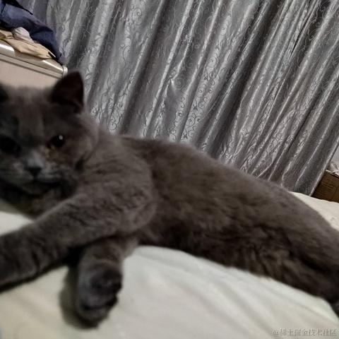 漾雾于2023-05-28 22:17发布的图片