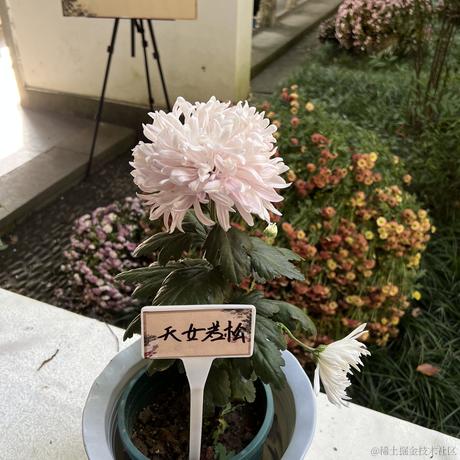 罗西南迪于2023-02-13 09:09发布的图片