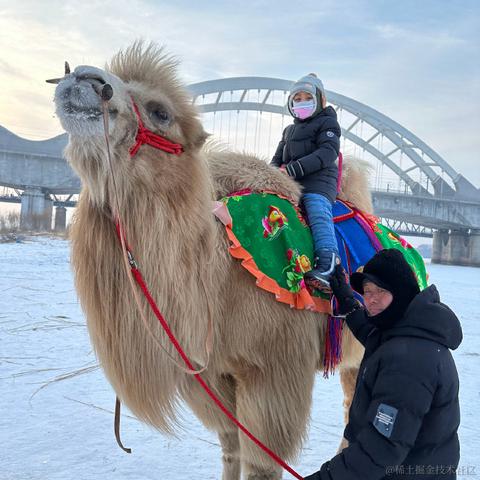 Reloading_转行保险了于2024-01-02 10:27发布的图片