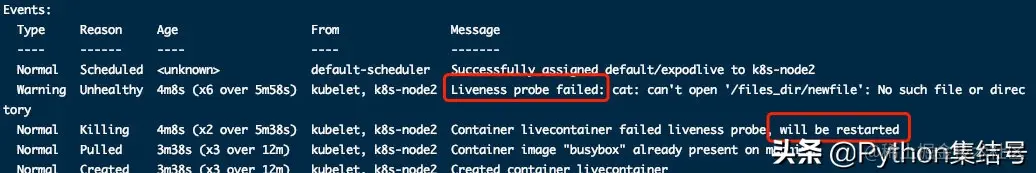 kubernetes的基本单位Pod详解