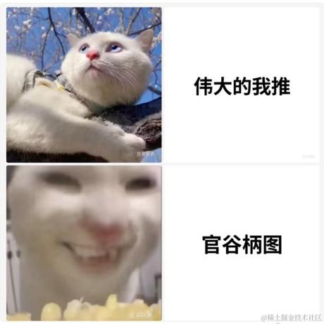 奶淇琳来喽于2023-07-19 10:24发布的图片