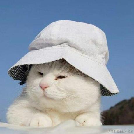 皮皮克于2021-11-25 16:43发布的图片