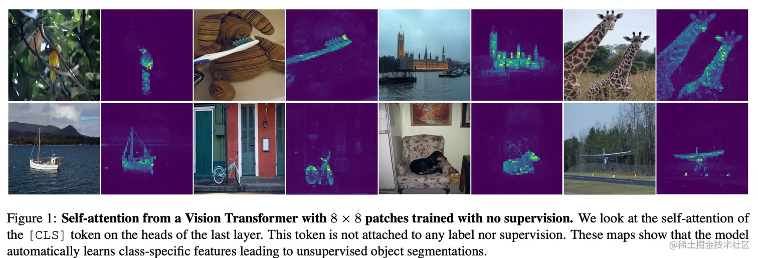 DINO中attention可视化图