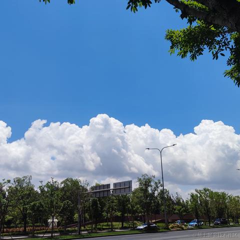934于2021-05-18 12:17发布的图片