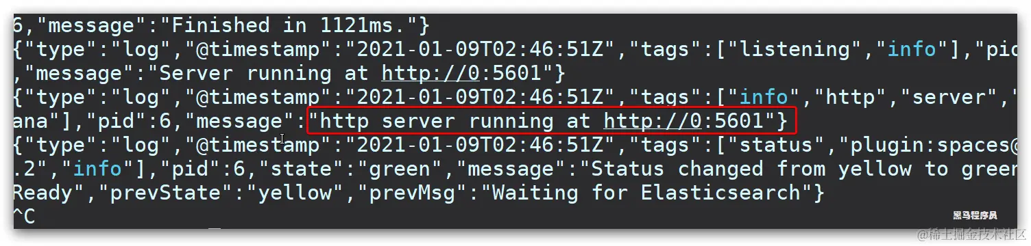 image-20210109105135812