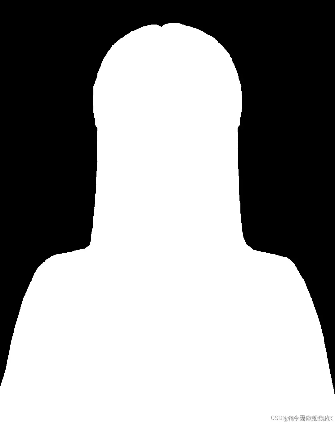 处理后的背景蒙版
