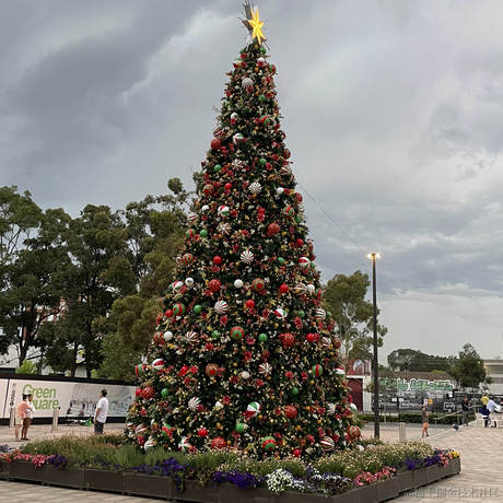 TdoU于2022-11-29 12:51发布的图片