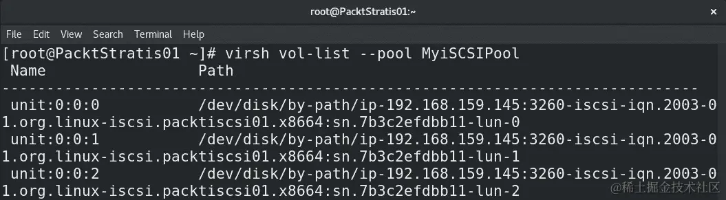 图 5.16 - 我们 iSCSI 池 LUN 的运行时名称