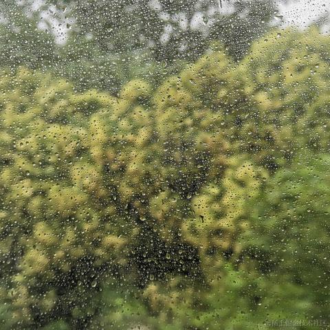 夏夜雨微凉于2023-06-19 21:56发布的图片
