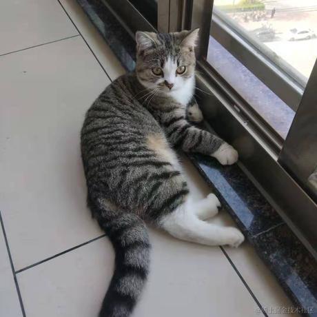 lololoqilo于2022-11-13 13:45发布的图片