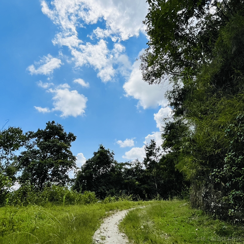 咚咚咚哒哒哒于2022-09-13 15:18发布的图片