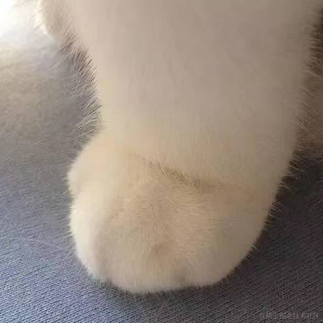 孟西洲于2021-10-16 14:04发布的图片