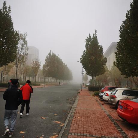 枝江小向晚于2022-11-20 18:47发布的图片