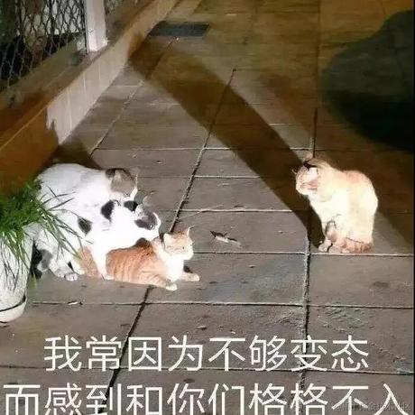 qinvz于2020-09-03 21:40发布的图片