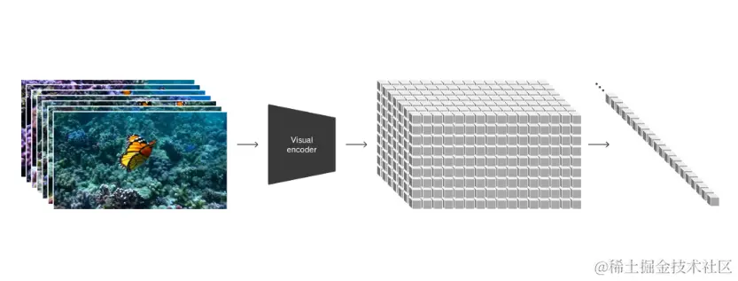 image-20240220213646306