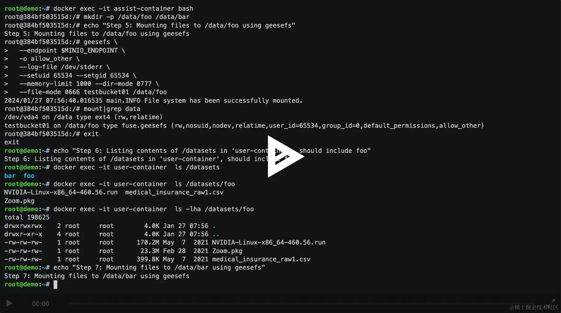 详细信息，请访问：https://asciinema.org/a/633731
