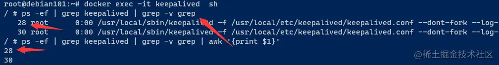 image-20211209210412684