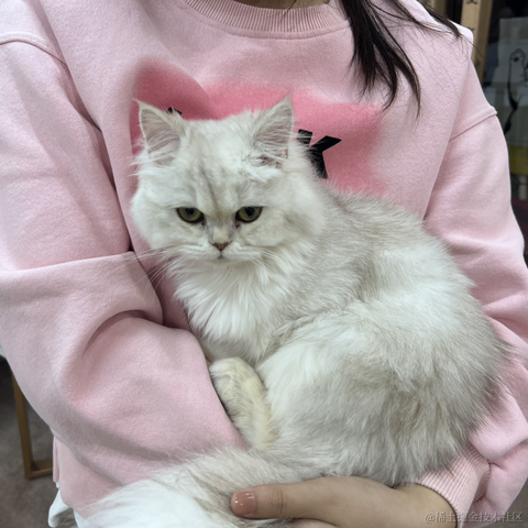 余祉晴于2023-04-16 09:46发布的图片