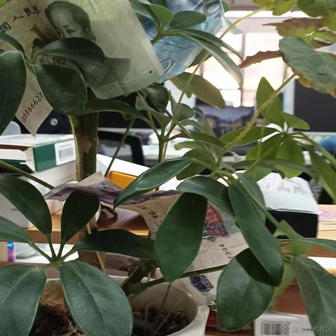 zue于2023-12-27 14:04发布的图片