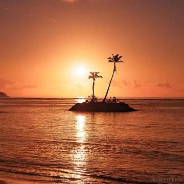 贝拉拉BELLA于2022-11-15 09:50发布的图片