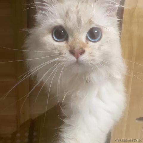 在家摸鱼于2024-03-28 15:20发布的图片