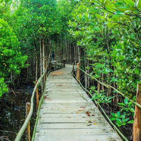 猪皮恶霸于2020-08-28 09:39发布的图片