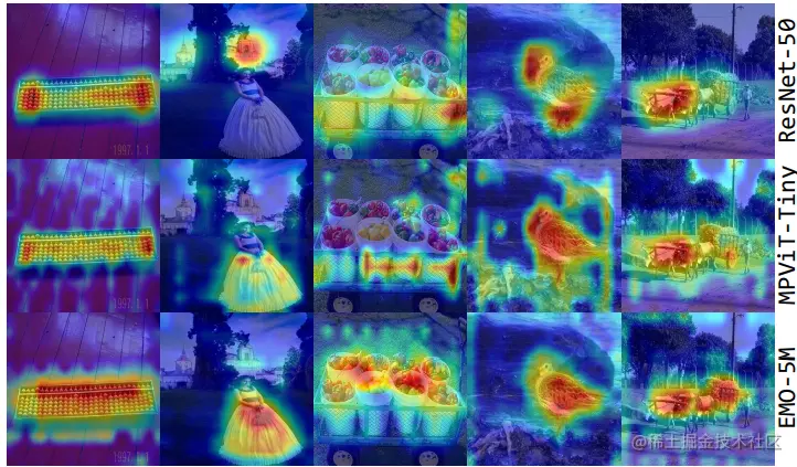 Attention Visualizations by Grad-CAM