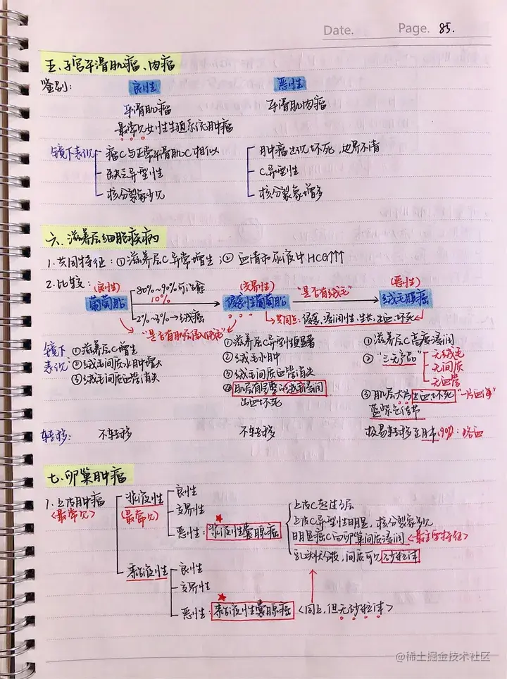 病理手写笔记.pdf