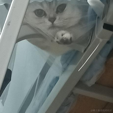 跟我一起秃秃秃于2022-12-11 17:19发布的图片