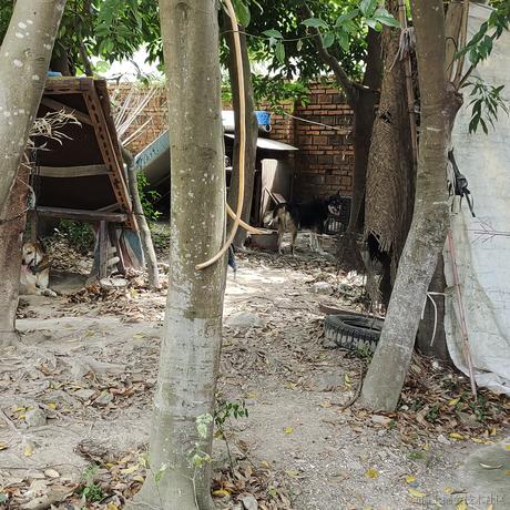 啦啦啦673于2023-07-02 14:47发布的图片