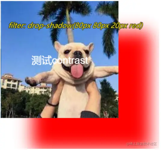 drop-shadow.png