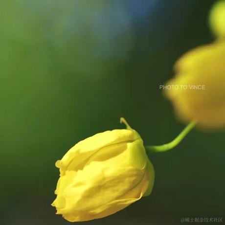 媛媛啊9813于2024-03-14 22:09发布的图片