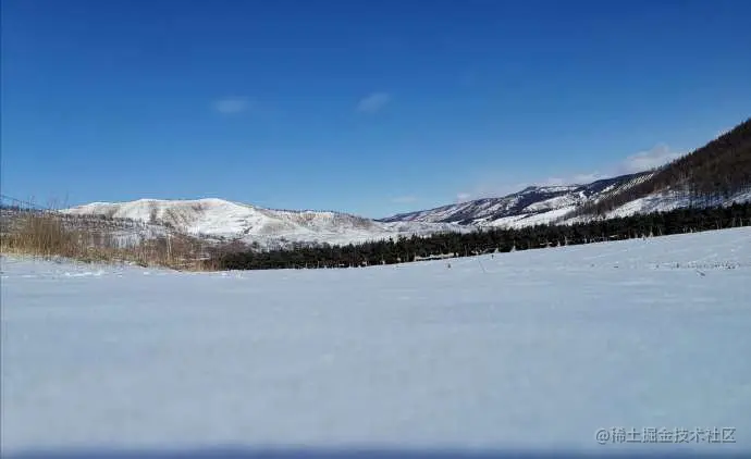 黑松、蓝天、白雪