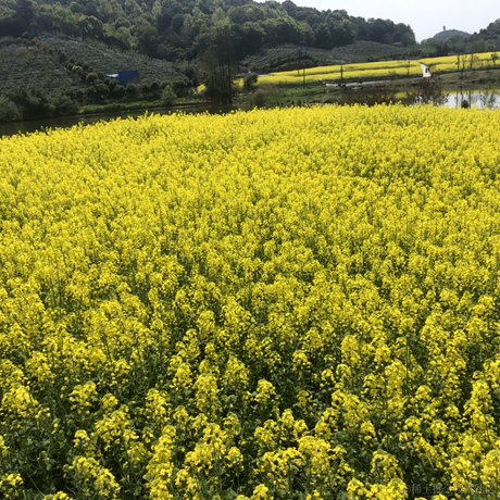 Read62990于2022-02-18 09:08发布的图片