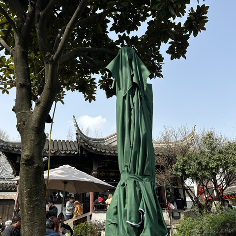 colincclala于2023-03-13 18:18发布的图片