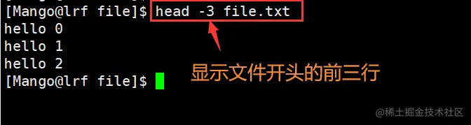 image-20220227102940137