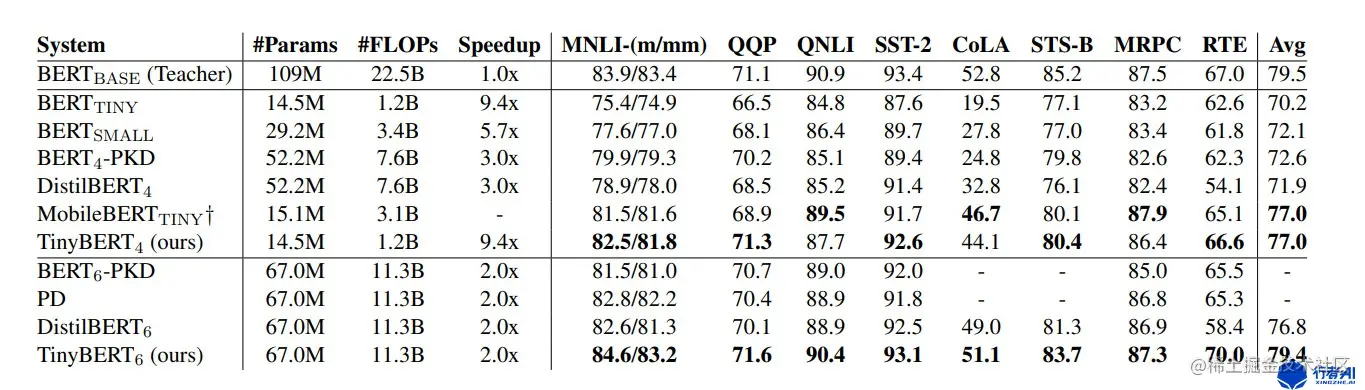 tinyBert实验结果