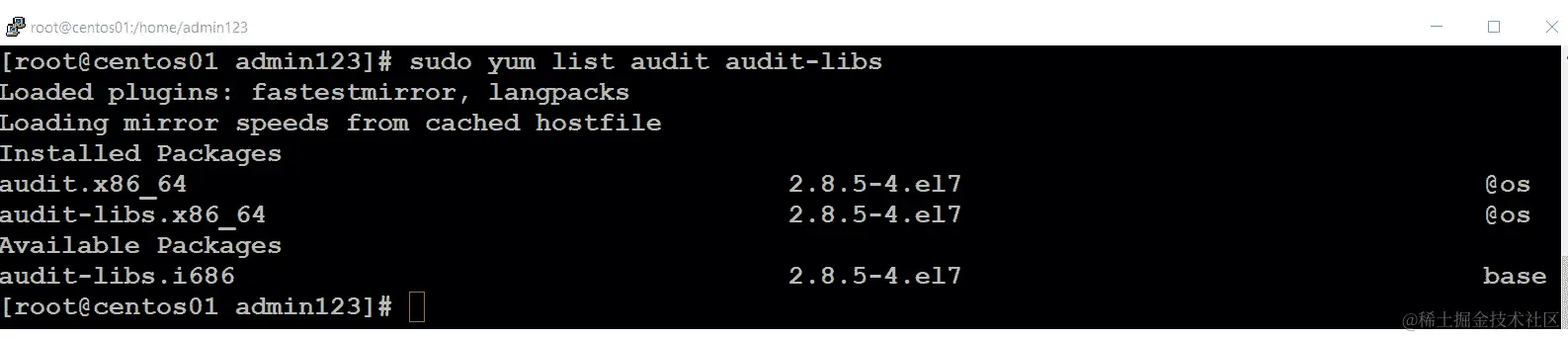 安装审计守护程序