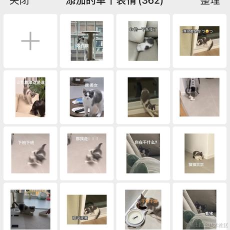 everyong于2024-05-28 15:58发布的图片