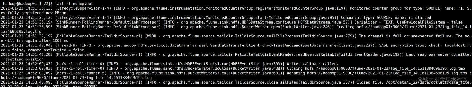 image-20210123145452271