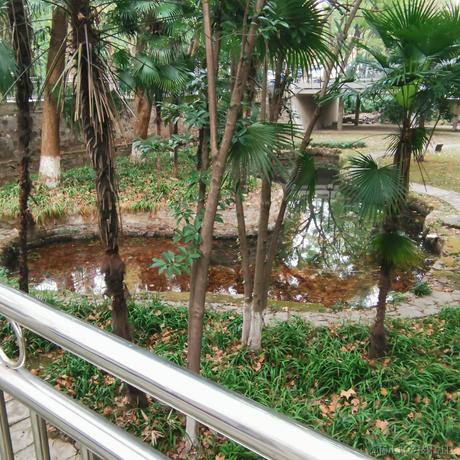 newboy于2022-12-09 11:33发布的图片