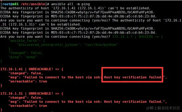 image-20240222142815029