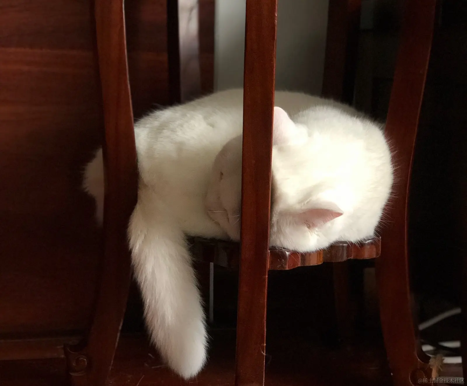 stay_away_from_bugs_lie_down_together